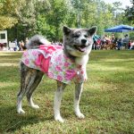 Senka in her pink kimono