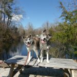 Senka and King Ghidora on their first walk together