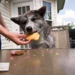 Messy birthday cookie