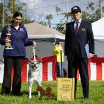 46th Annual AKIHO Show 3rd Place Sohken Female